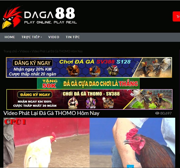 Giao diện Daga88 được thiết kế thân thiện